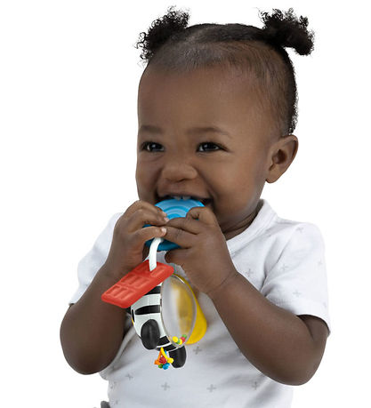 Baby Einstein Rattle Teether - Shake-a-Shape Zen