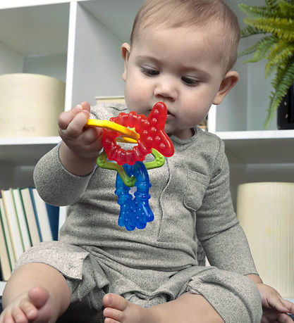Baby Einstein Teether - Set w. 4 - Cool Critters