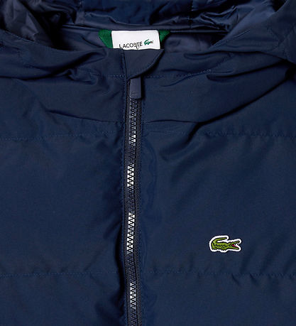 Lacoste Veste Rembourrée - Marine Blue