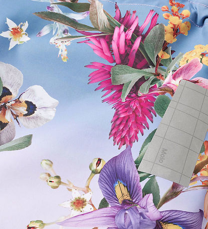 Molo Vinterjacka - Cathy - Gradientblomning