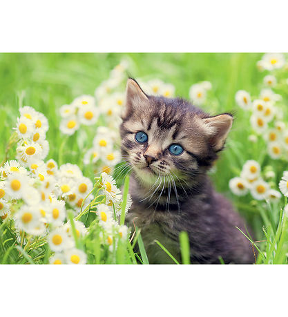 Ravensburger Jigsaw Puzzle - 500 Bricks - Kitten In The Meadow