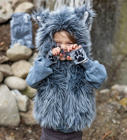 Great Pretenders Búningur - BIG Bad Wolf - Grár