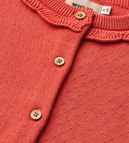Wheat Cardigan - Knitted - Amy - Candy Ed