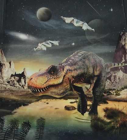 Molo T-paita - Riley - T-Rex Planet