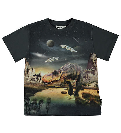 Molo T-paita - Riley - T-Rex Planet