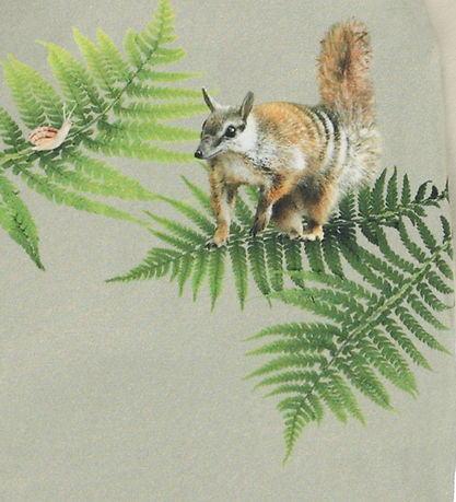 Molo Samfella L/æ - Foss - Fern Encounter