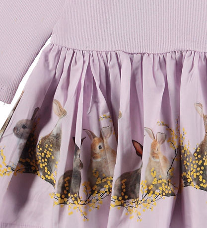 Molo Kleid - Candi - Purple Hasen