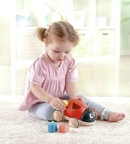 Hape Pull Along Toy - Ladybug w. Blocks