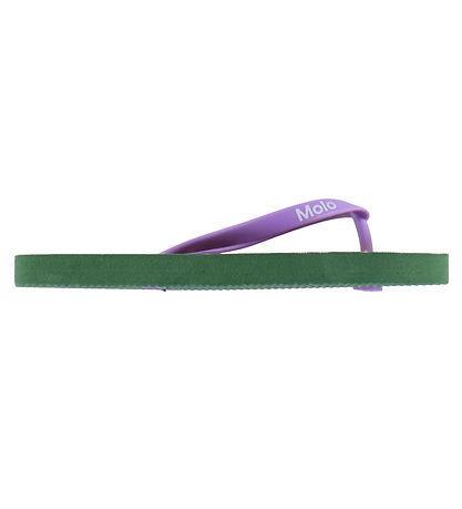 Molo Flip Flops - Zeppo - All-Over Leo