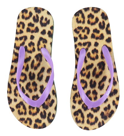 Molo Flip Flops - Zeppo - All-Over Leo
