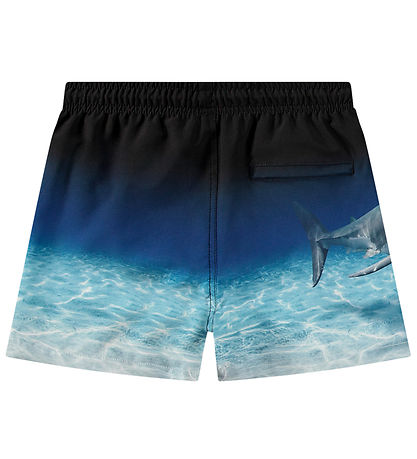 Molo Swim Shorts - UV50+ - Niko - Faded Shark