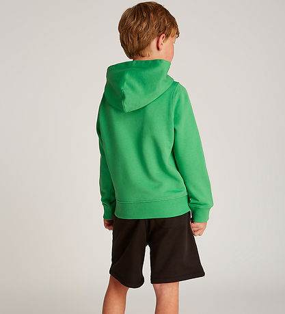Calvin Klein Hoodie - Small Monogram - Vintage Green