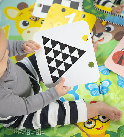 Baby Einstein Activity Play Mat - Discovery Garden