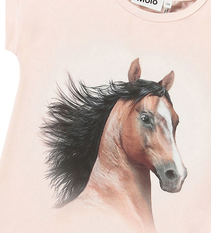 Molo Stuttermabolur - Ragnhilde - Pony Ástríðu
