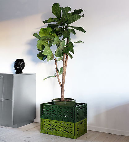 Aykasa Foldable Box - 60x40x22 cm - Maxi - Neon Green