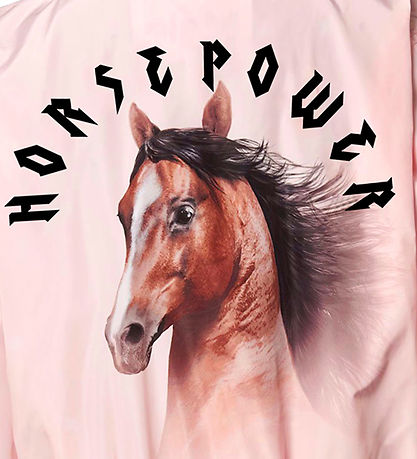 Molo Jacket - Haliva - Racing Horses