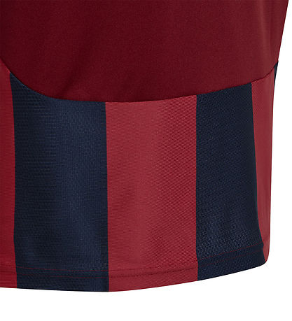 adidas Performance Stuttermabolur - Striped 24 JSYY - TENABL/TEC