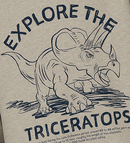Name It Sweatshirt - NmmVion - Pure Cashmere/Triceratops