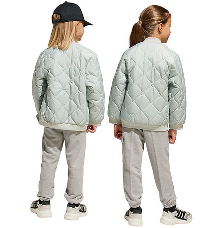 adidas Performance Vadderad jacka - LK LT PAD JKT - WONSIL/Svart
