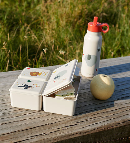 Liewood Nestisbox - Driss - Sirkus/Sandy