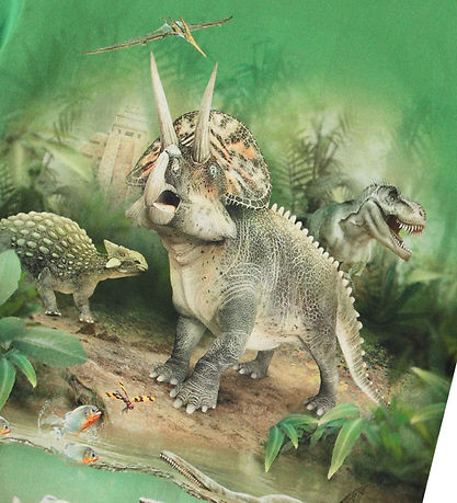 Molo Stuttermabolur - Riley - Jungle Dinos