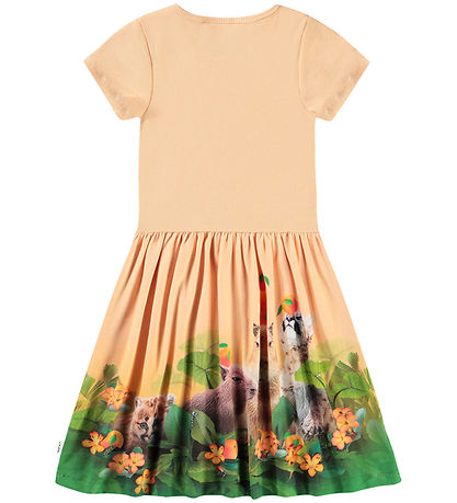Molo Kleid - Rib - Cissa - Jungle Games
