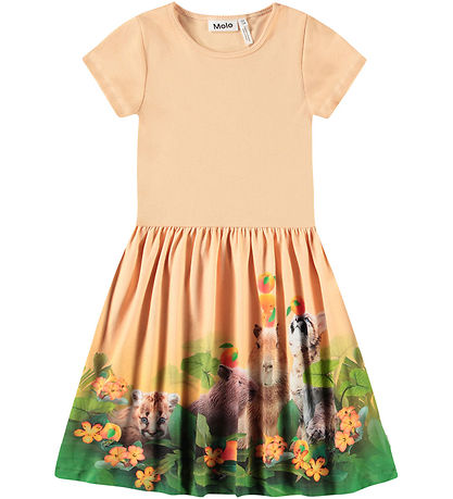 Molo Kleid - Rib - Cissa - Jungle Games