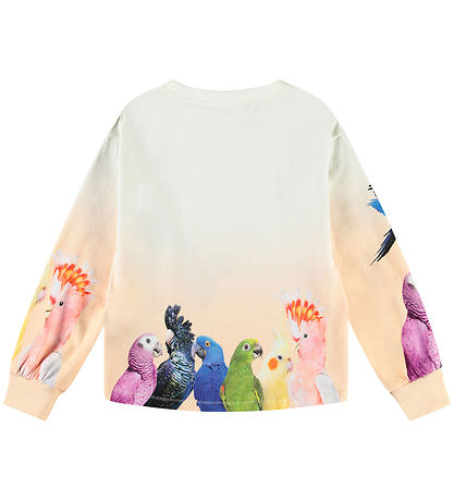 Molo Blouse - Reniza - Group Of Parrots