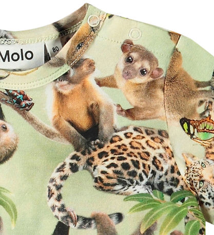Molo Stuttermabolur - Easy - Jungle Ungar