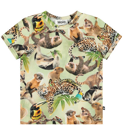 Molo Stuttermabolur - Easy - Jungle Ungar