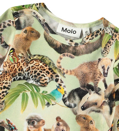 Molo Samfella L/æ - Foss - Jungle Ungar