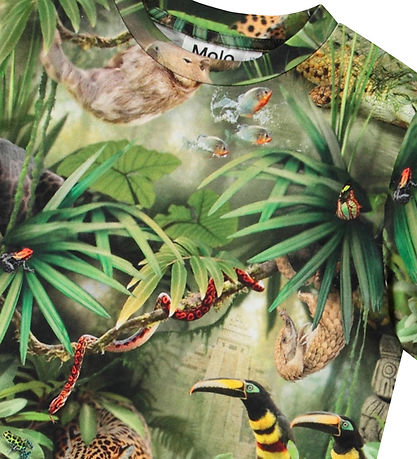 Molo Stuttermabolur - Ralphie - Jungle Animals