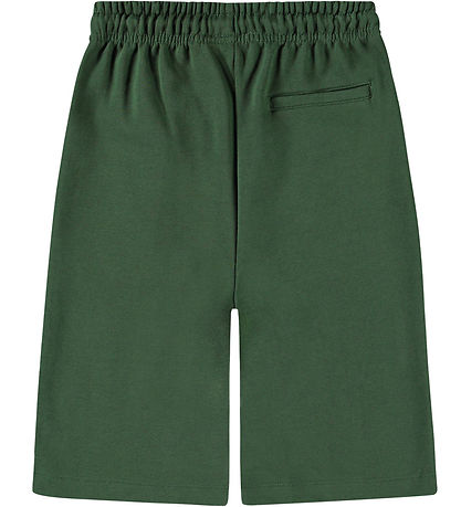 Molo Shorts - Add - Rubber Tree