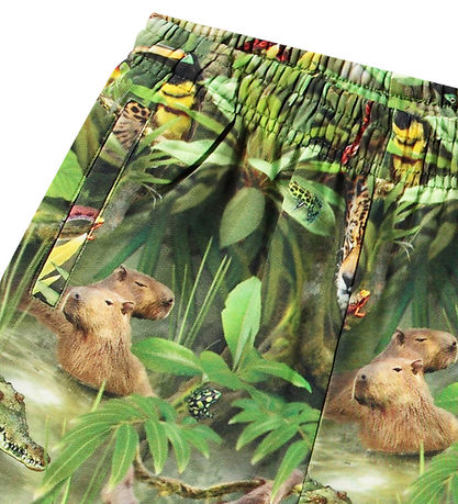 Molo Shorts - Amil - Jungle Animals