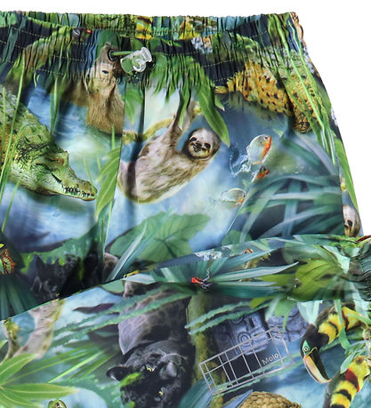 Molo Rain Pants - Waits - Jungle Life