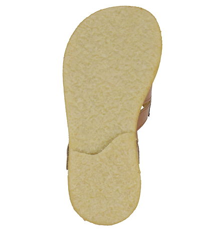 Angulus Sandalar - Tan