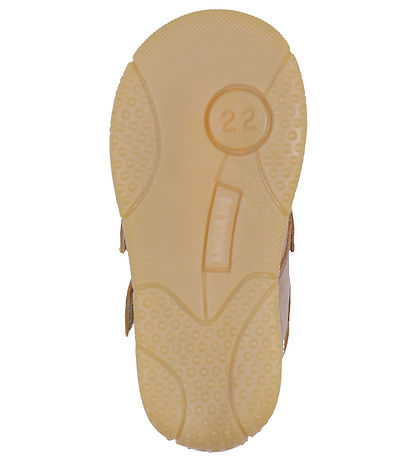 Angulus Prewalker - Cognac