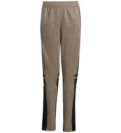 adidas Performance Hosen - Tr PNT T - Schwarz/Schwarz/Warvan
