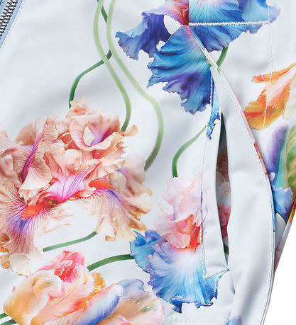 Molo Lightweight Jacket - Hoplas - Tulip Blue