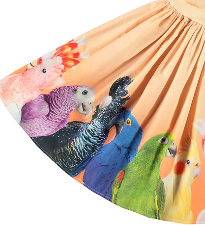Molo Kleid - Rib - Cissa - Rainbow Parrots m. Print