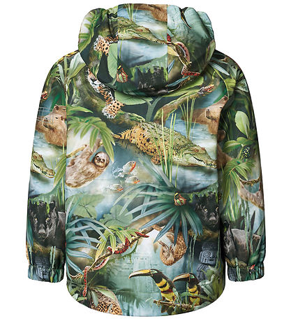 Molo Lightweight Jacket - Hoplas - Jungle Life