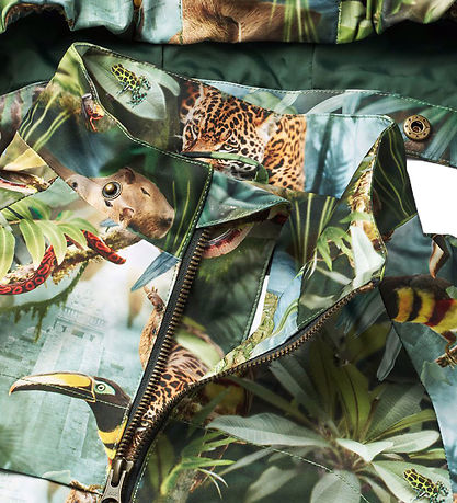 Molo Lightweight Jacket - Hoplas - Jungle Life