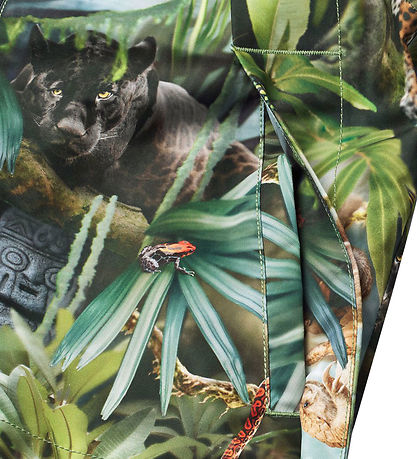 Molo Lightweight Jacket - Hoplas - Jungle Life