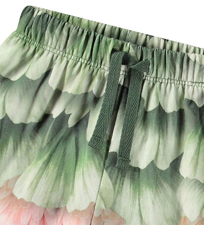 Molo Jogginghosen - Simeon - Petal Rainbow m. Blumenprint