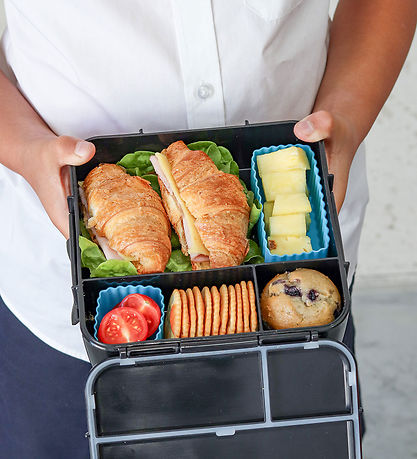 MontiiCo Nestisbox M. 5 Rum - Bento Five - 980 ml - Risaeðla Lan