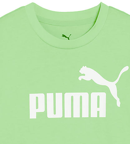 Puma Stuttermabolur - Ás nr. 1 Lógó - Spring Fern