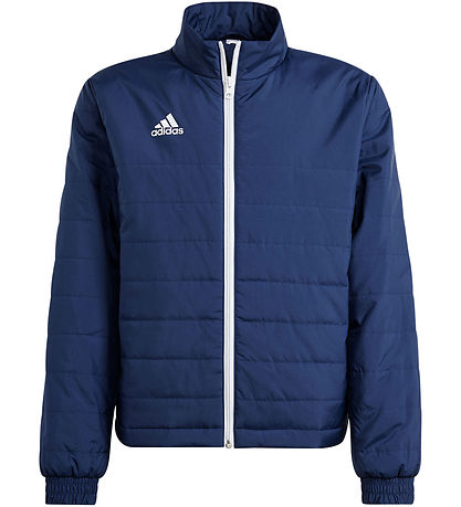 adidas Performance Vadderad jacka - ENT22 LJKTY - TENABL