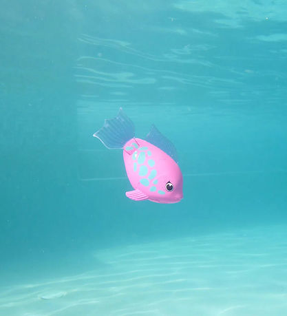 Sundbrautir Baðleikföng - Rainbow Reef - Tuna Turna
