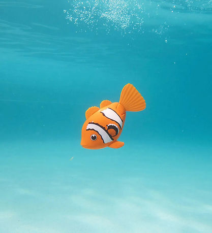 Sundbrautir Baðleikföng - Rainbow Reef - Swim Shady