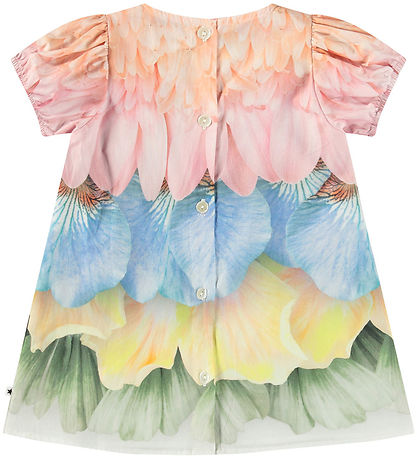 Molo Klänning - Box - Petal Rainbow